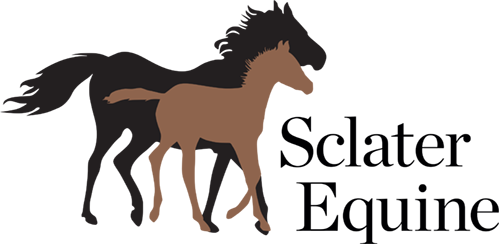 Sclater Equine, Equine Vet Dorset Sclater Equine, Equine Vet Dorset